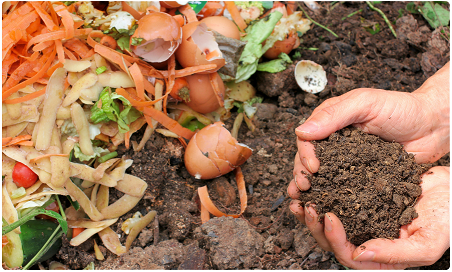 Environmental management system training